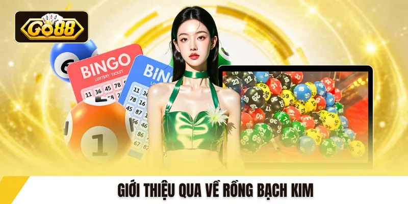 Giới thiệu qua về rồng bạch kim