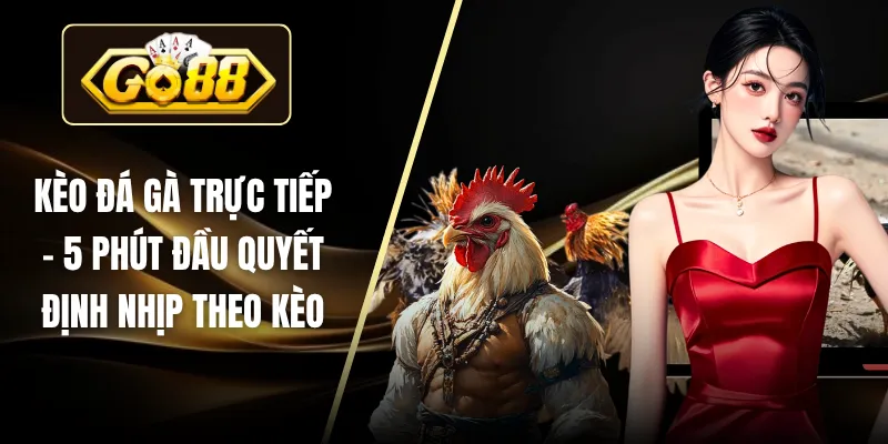Kèo Đá Gà Trực Tiếp - 5 Phút Đầu Quyết Định Nhịp Theo Kèo